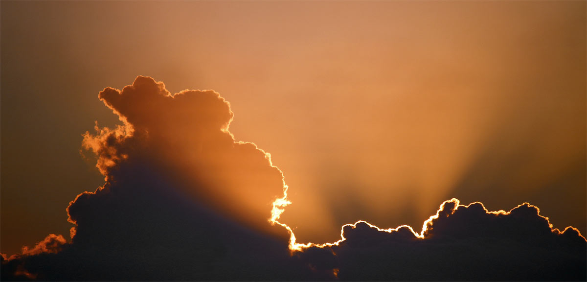 Photo by Marcus Dall Col on Unsplash Photo by Marcus Dall Col on Unsplash